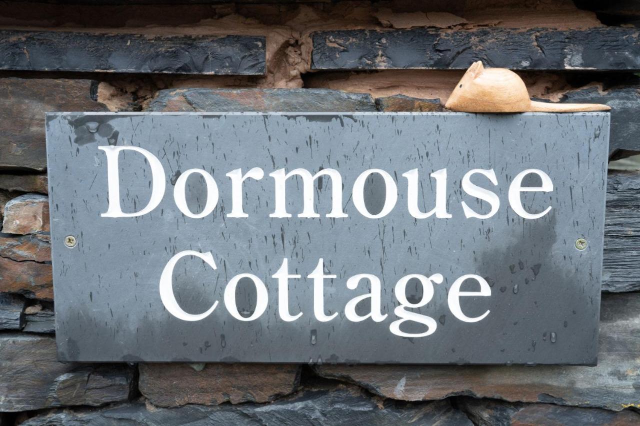 Dormouse Cottage With Log Burner & Parking By Letmestay 安布尔塞德 外观 照片